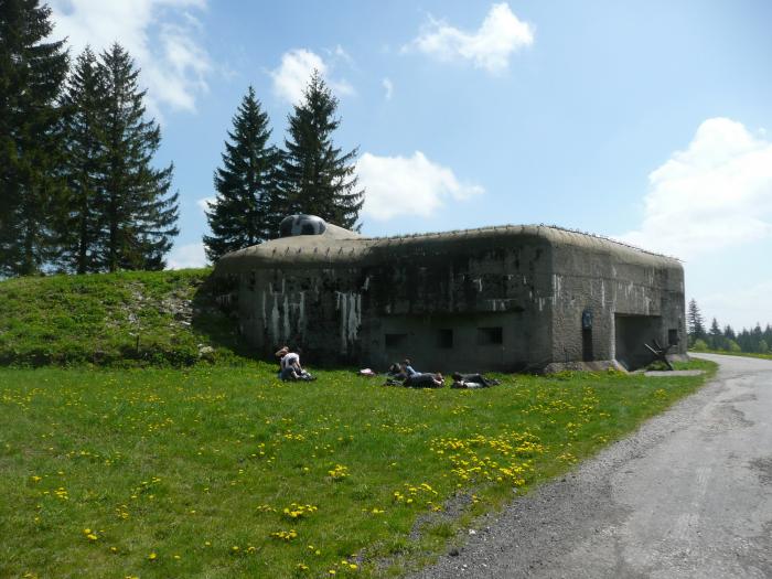 2019-05-19 - jeleni putak orlicky 15